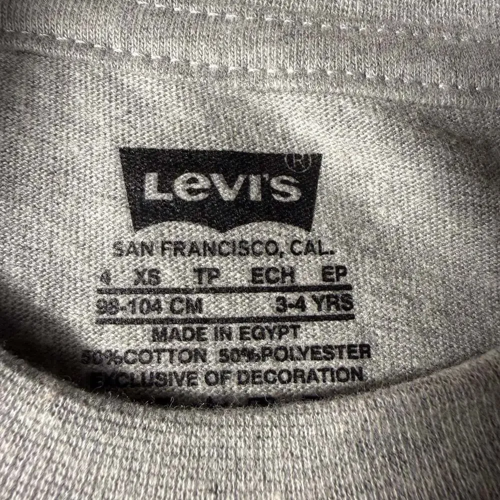 Levi's Toddler Boys 73 Anchor Graphic Short Sleeve T-Shirt Size 4 XS Grey